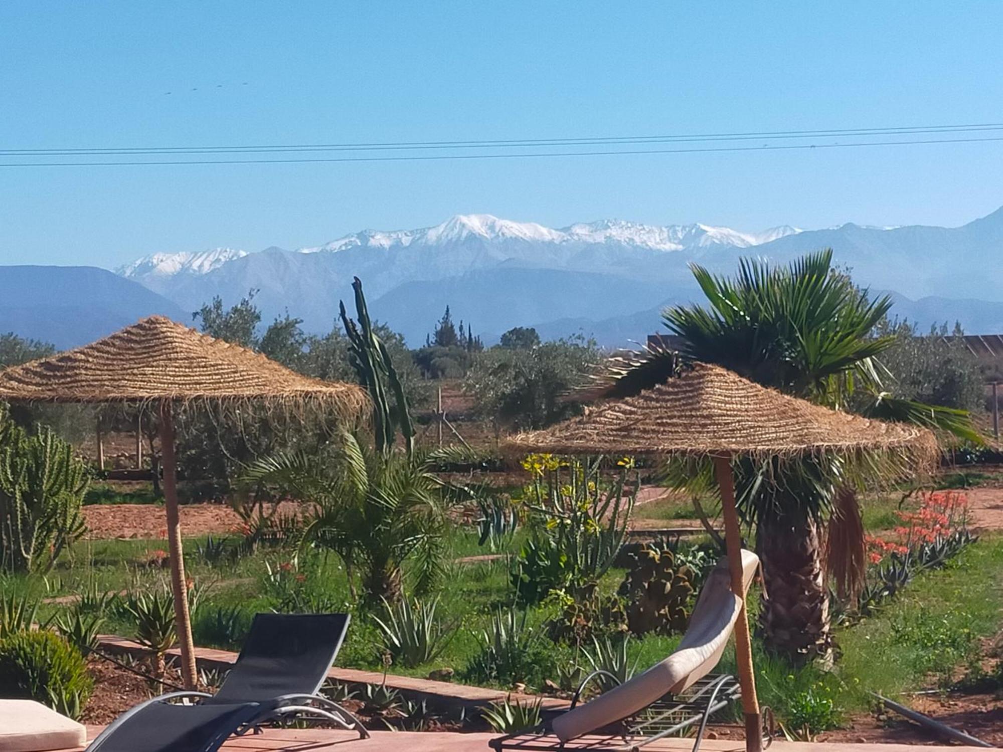 Chez Jm Saida Bed and Breakfast Ourika Buitenkant foto
