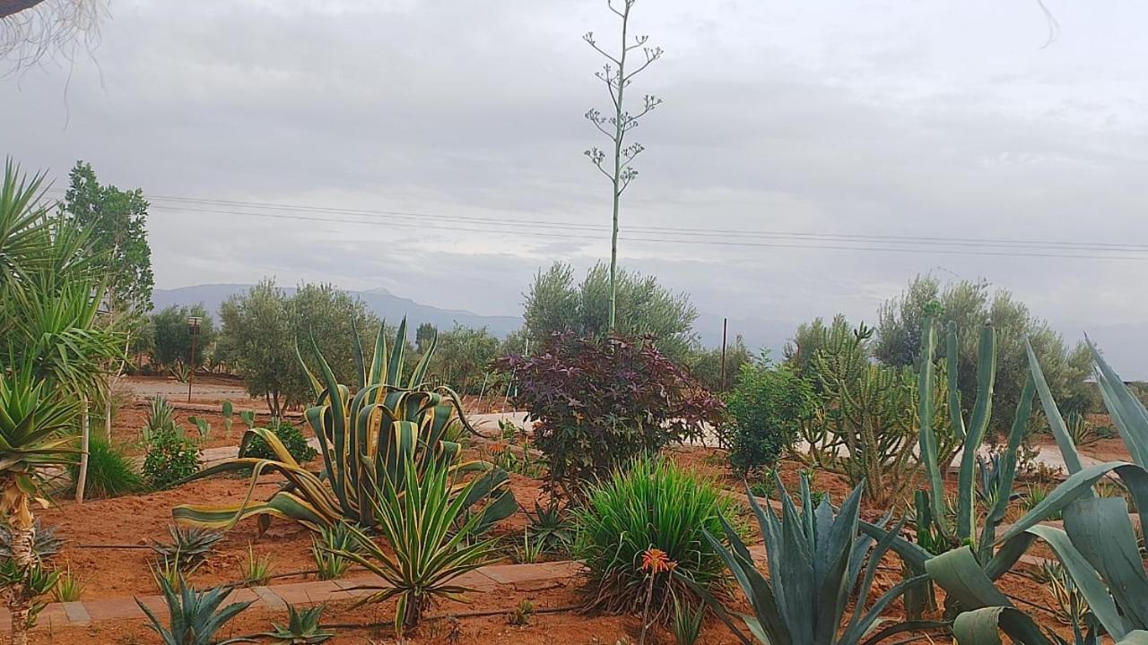 Chez Jm Saida Bed and Breakfast Ourika Buitenkant foto