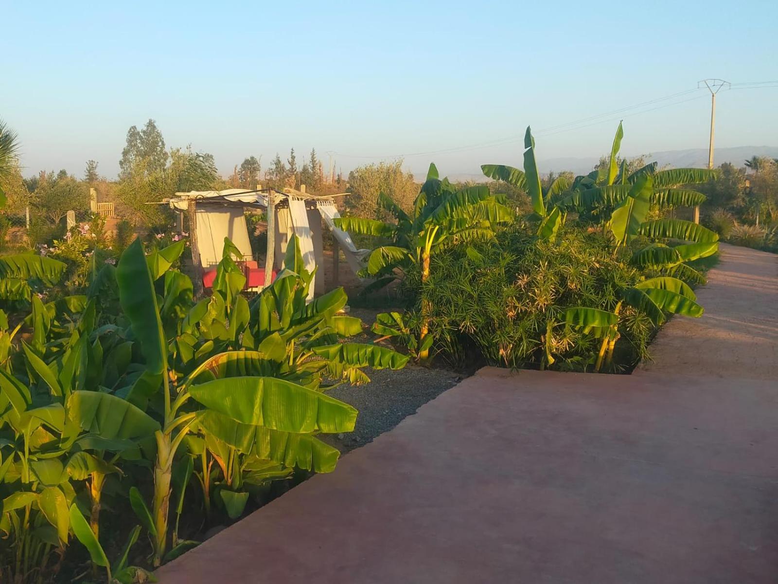 Chez Jm Saida Bed and Breakfast Ourika Buitenkant foto